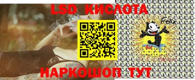 прущие грибы Волжский