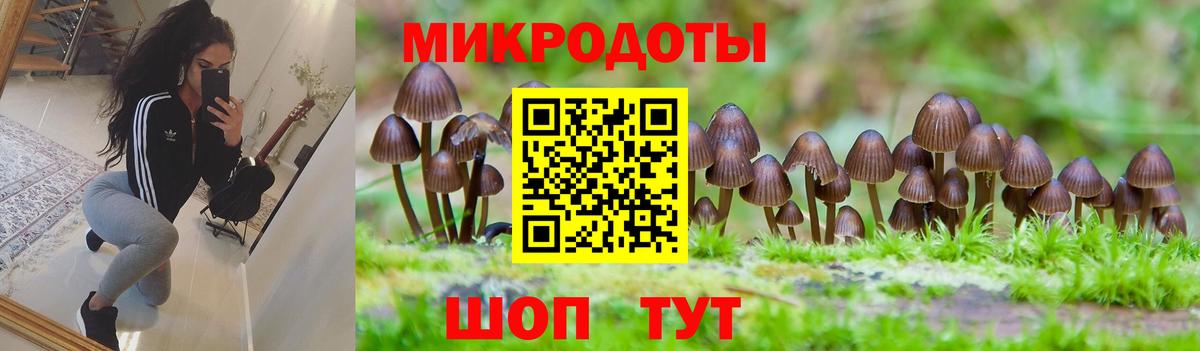 Галлюциногенные грибы Cubensis  Галлюциногенные грибы Cubensis  Знаменск  Вход с VPN 
